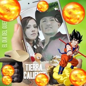 Meet your Posher, Noel